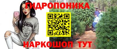 молекула духа Нягань