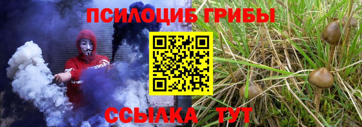 Псилоцибиновые грибы мухоморы Отрадный