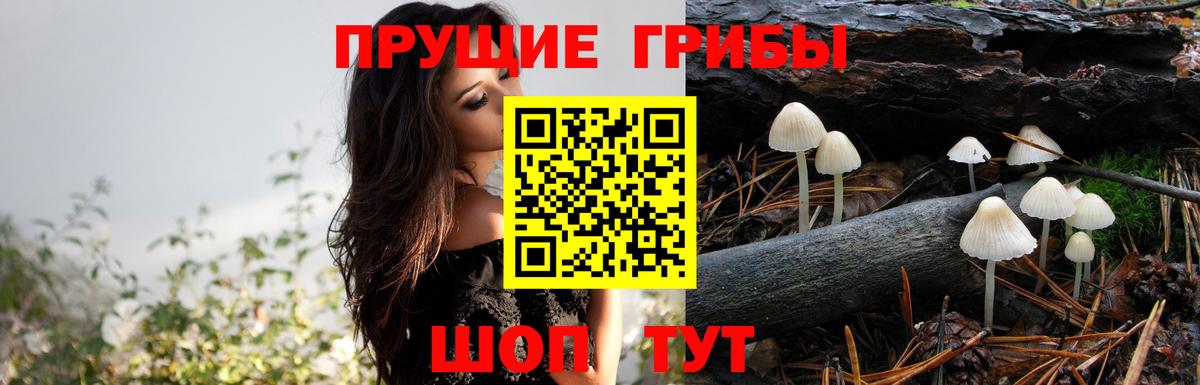 Псилоцибиновые грибы мухоморы  Вход с VPN  Отрадный  Галлюциногенные грибы ЛСД 